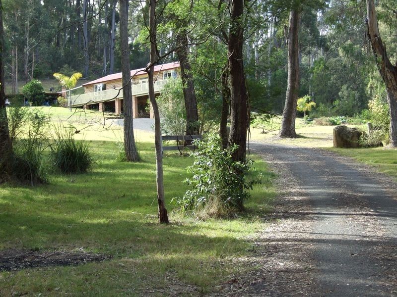 237 Reedy Swamp Road, Tarraganda NSW 2550