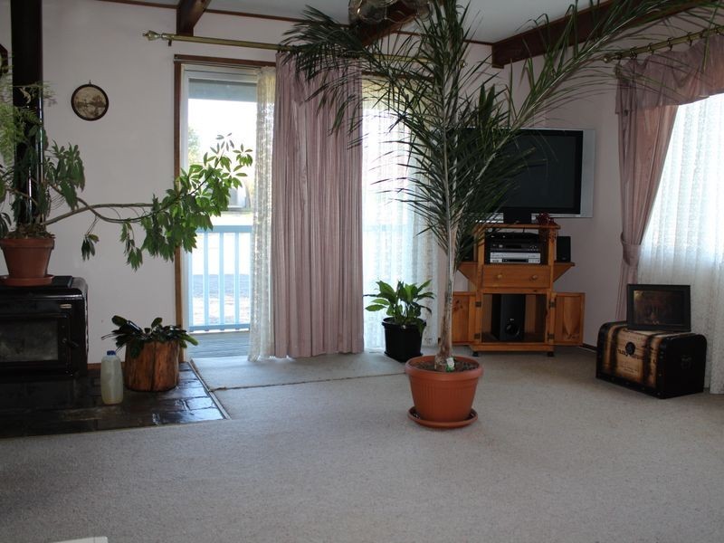 41 Bermagui Road, Cobargo NSW 2550