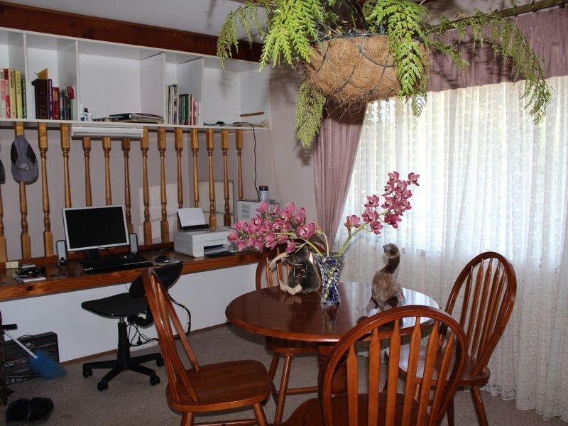 41 Bermagui Road, Cobargo NSW 2550