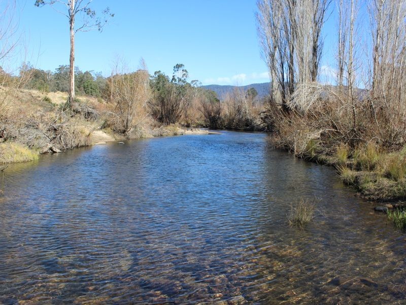 98 Tantawangalo Lane, Tantawangalo NSW 2550