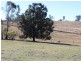 98 Tantawangalo Lane, Tantawangalo NSW 2550