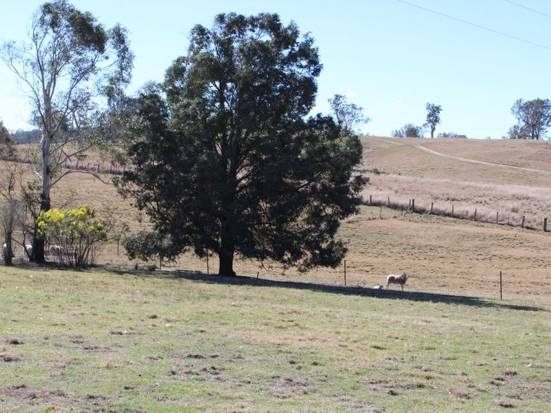 98 Tantawangalo Lane, Tantawangalo NSW 2550