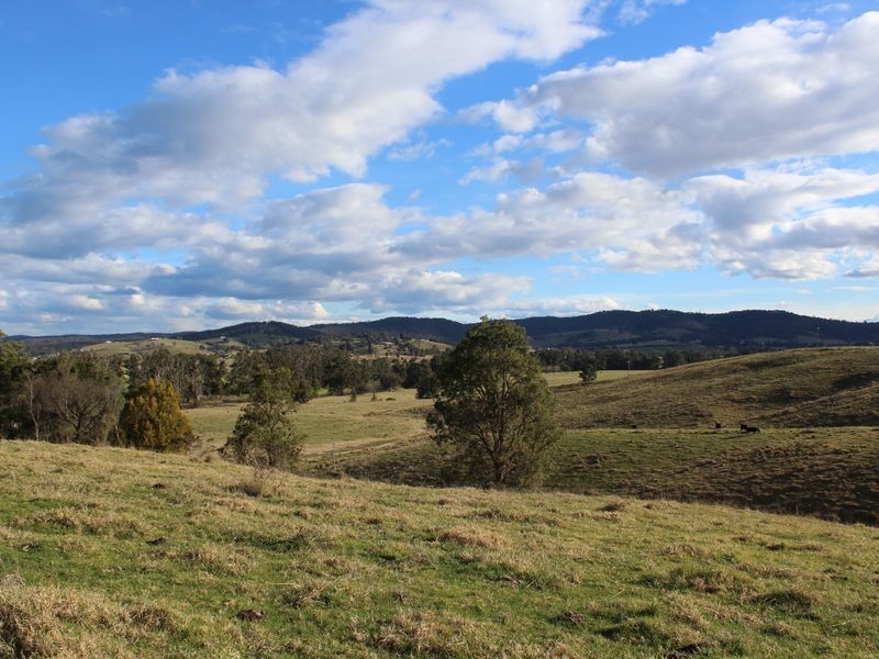 Lot 551 Emma Road (Tarraganda), Bega NSW 2550