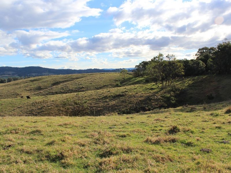 Lot 551 Emma Road (Tarraganda), Bega NSW 2550