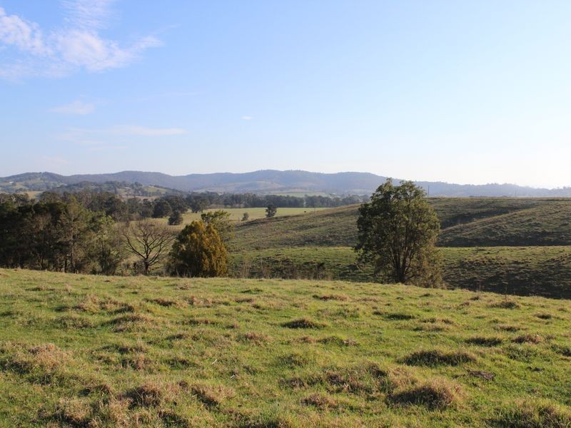 Lot 551 Emma Road (Tarraganda), Bega NSW 2550