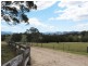 11229 Princes Highway, Cobargo NSW 2550