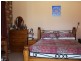 11229 Princes Highway, Cobargo NSW 2550