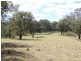 11229 Princes Highway, Cobargo NSW 2550