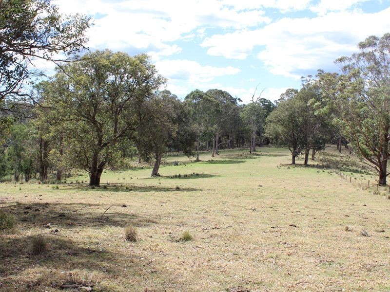 11229 Princes Highway, Cobargo NSW 2550