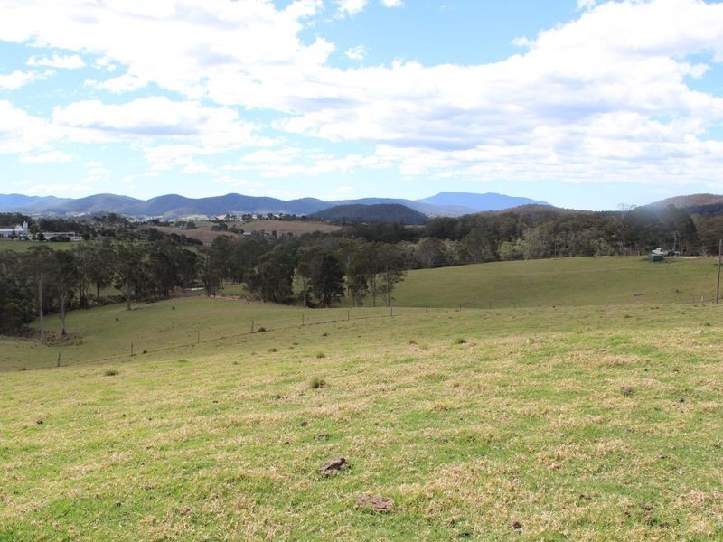 11229 Princes Highway, Cobargo NSW 2550