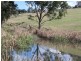 11229 Princes Highway, Cobargo NSW 2550