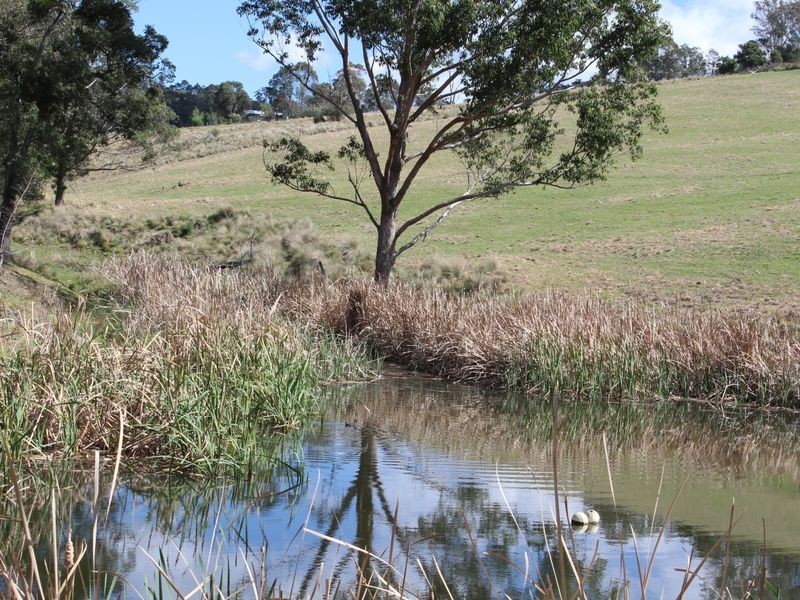 11229 Princes Highway, Cobargo NSW 2550