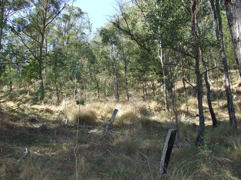 Lots 20 & Gillespie Street, Cobargo NSW 2550