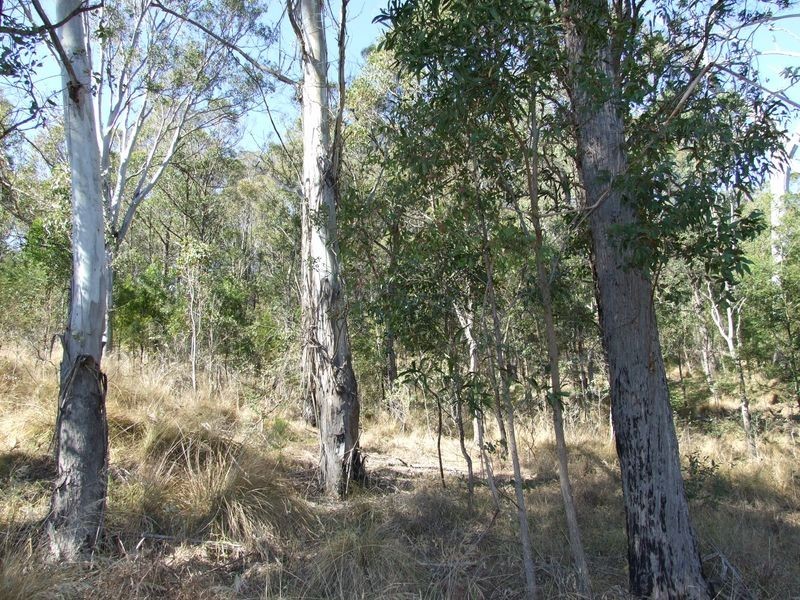 Lots 20 & Gillespie Street, Cobargo NSW 2550