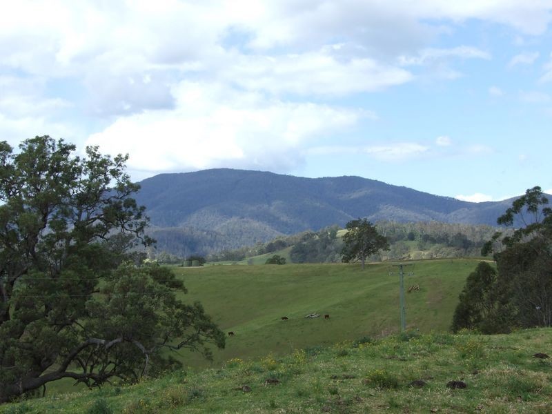 324 Hawkshead Road, Brogo NSW 2550