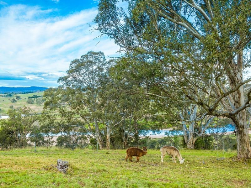 72 Gillcrest Drive, Bega NSW 2550
