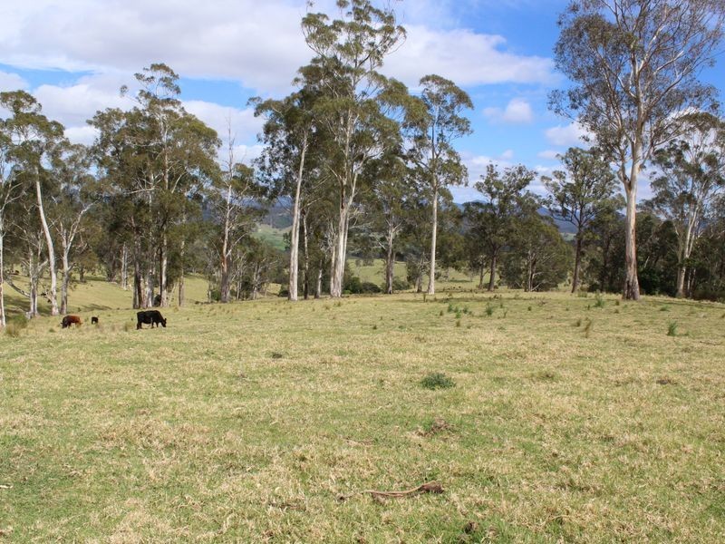 132 Clarkes Road, Bega NSW 2550