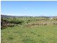 Lot 3 Brianderry Road, Bega NSW 2550