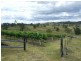 271 Upper Cobargo Road, Bega NSW 2550