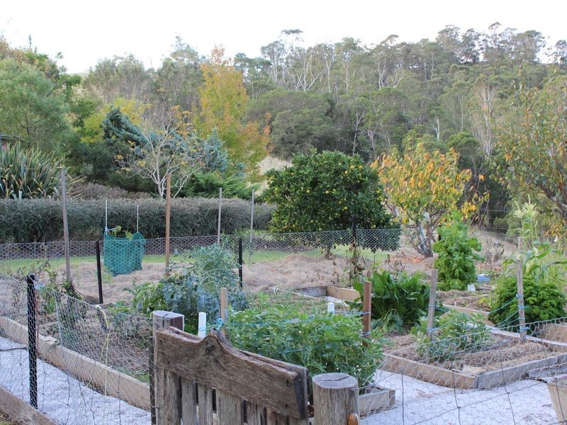 105 Hore-Lacy Road, Quaama NSW 2550