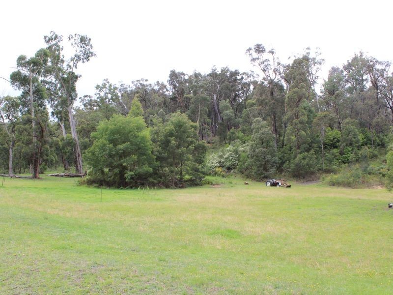 187 Reedy Swamp Road, Tarraganda NSW 2550