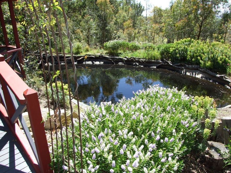 99 Mountview Close, Bega NSW 2550