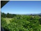 040 Kameruka Lane, Candelo NSW 2550