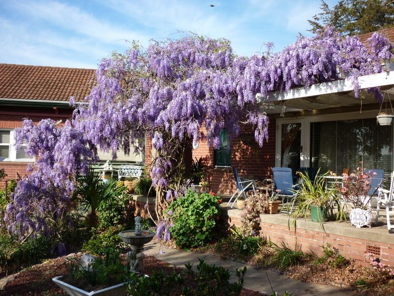 5 Belmore Street, Bega NSW 2550