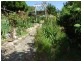 5 Belmore Street, Bega NSW 2550
