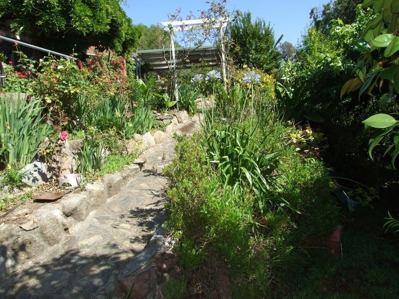 5 Belmore Street, Bega NSW 2550