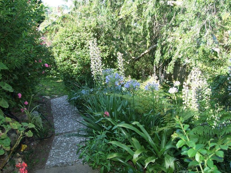 5 Belmore Street, Bega NSW 2550