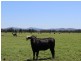 Mynora South Head Road, Moruya NSW 2537