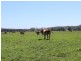 Mynora South Head Road, Moruya NSW 2537