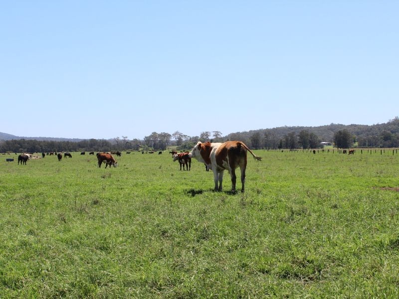 Mynora South Head Road, Moruya NSW 2537