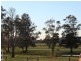 Mynora South Head Road, Moruya NSW 2537