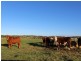 Mynora South Head Road, Moruya NSW 2537