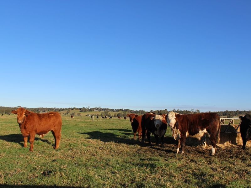 Mynora South Head Road, Moruya NSW 2537