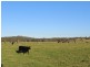 Mynora South Head Road, Moruya NSW 2537