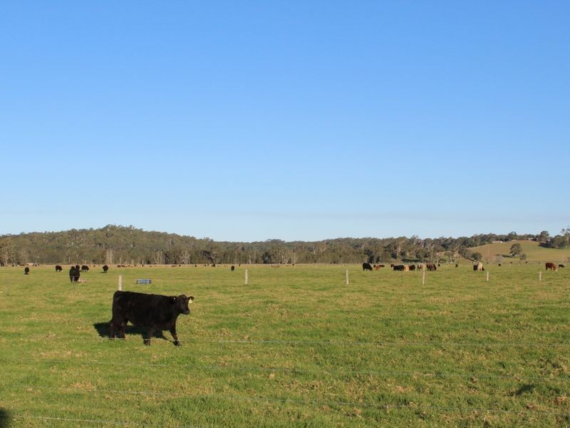 Mynora South Head Road, Moruya NSW 2537