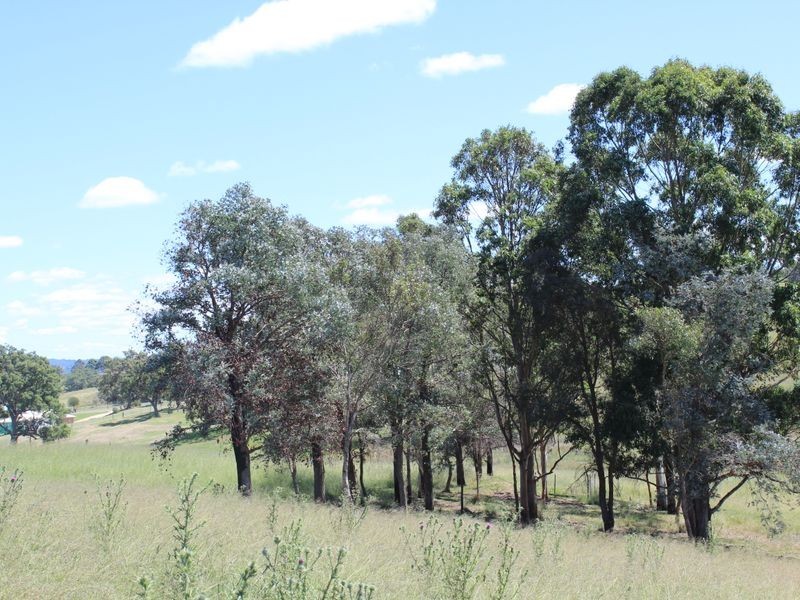 Lot 19 Max Slater Drive, Bega NSW 2550