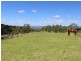 148 Peak Lane, Numbugga NSW 2550