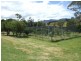 2386 Mount Darragh Road, Wyndham NSW 2550