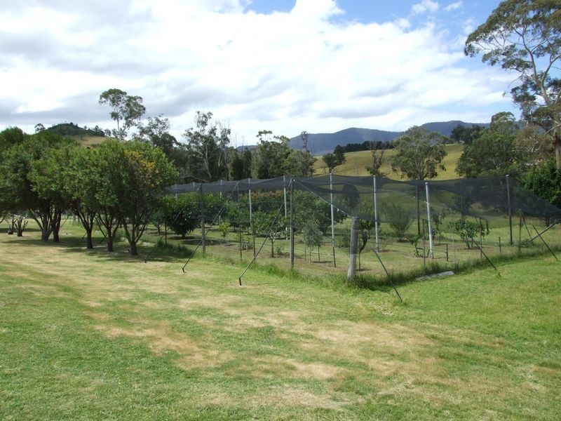 2386 Mount Darragh Road, Wyndham NSW 2550