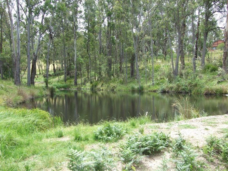 2386 Mount Darragh Road, Wyndham NSW 2550