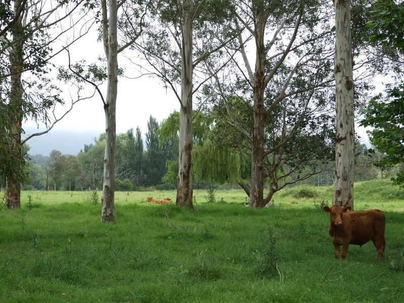 Lot 7 90 Sullivans Gap Road, Bemboka NSW 2550