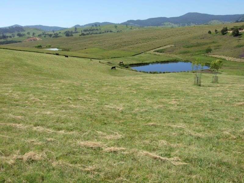 18 Glenall Lane, Candelo NSW 2550