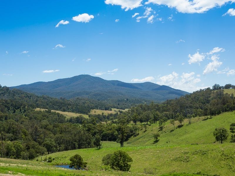 472 County Boundary Road, Cobargo NSW 2550