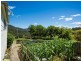 472 County Boundary Road, Cobargo NSW 2550
