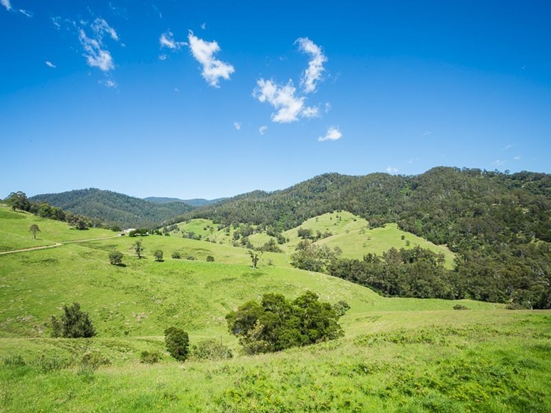 472 County Boundary Road, Cobargo NSW 2550