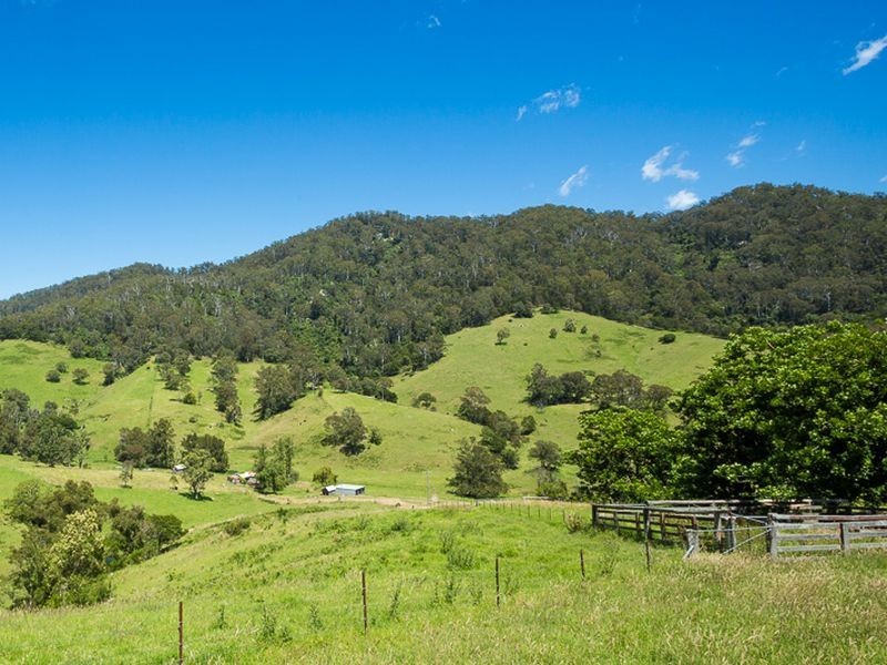 472 County Boundary Road, Cobargo NSW 2550